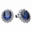 Diamonfire Blue Sapphire Coloured Cluster Stud Earrings